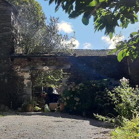 Le Petit Nid Bed and Breakfast Sablieres Εξωτερικό φωτογραφία