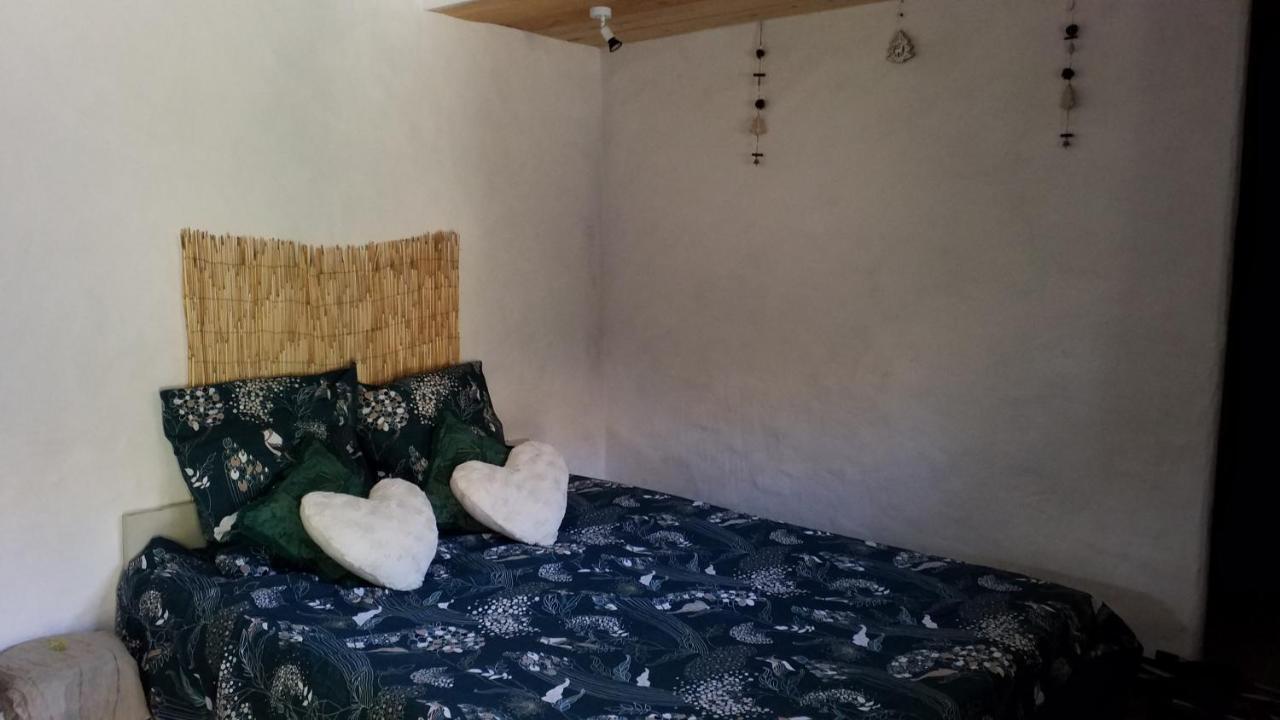 Le Petit Nid Bed and Breakfast Sablieres Εξωτερικό φωτογραφία