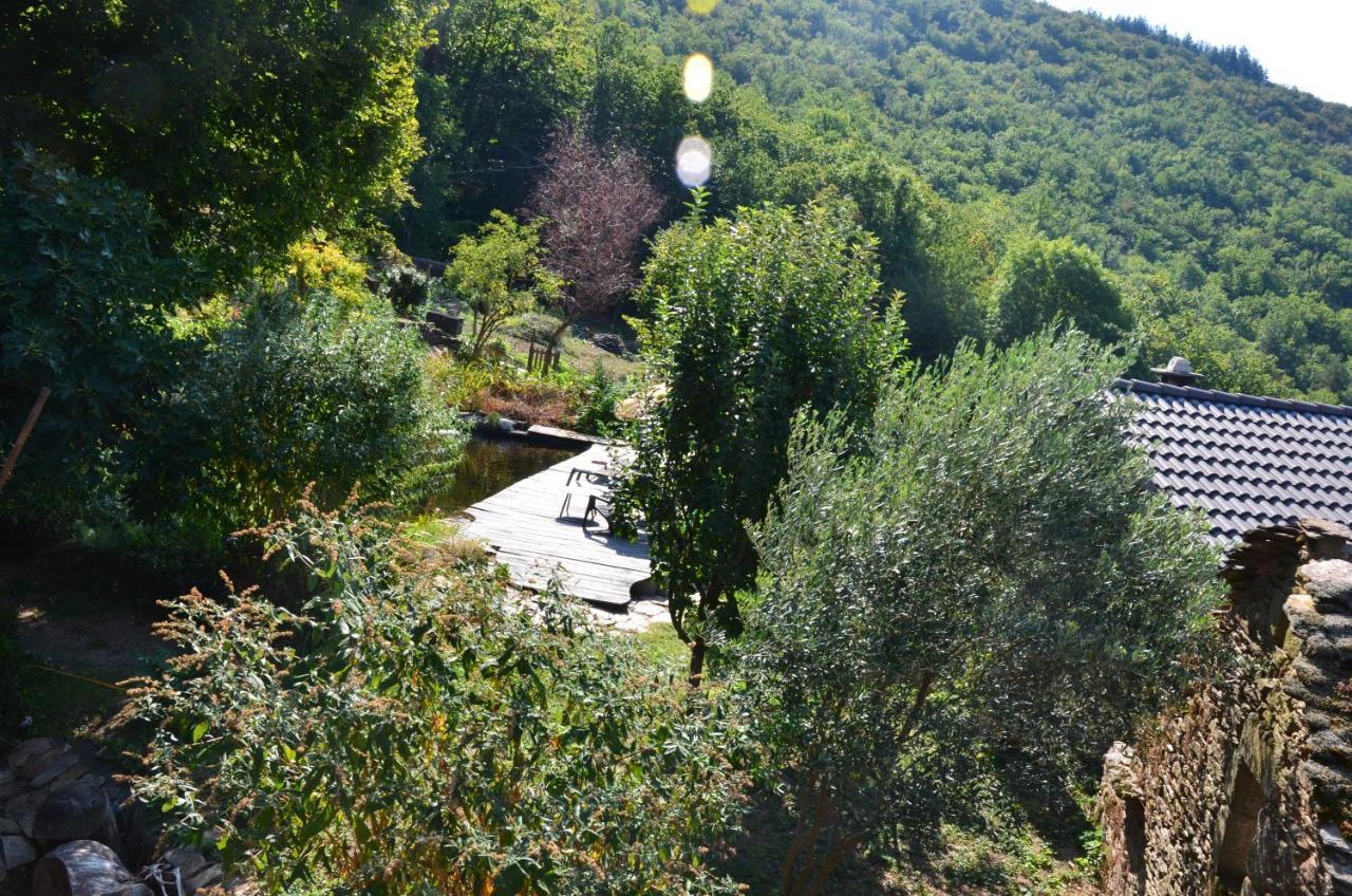 Le Petit Nid Bed and Breakfast Sablieres Εξωτερικό φωτογραφία