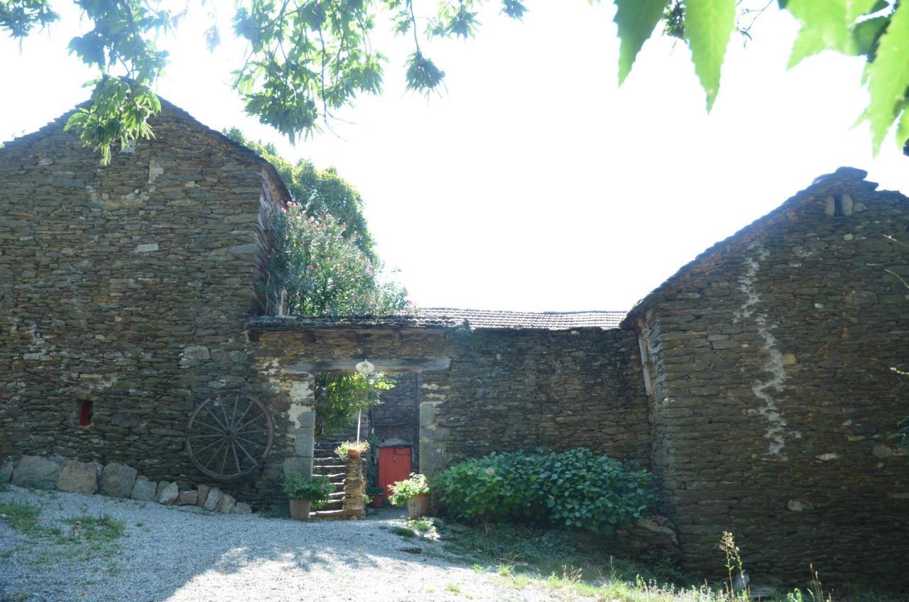 Le Petit Nid Bed and Breakfast Sablieres Εξωτερικό φωτογραφία