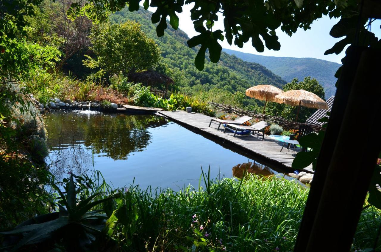 Le Petit Nid Bed and Breakfast Sablieres Εξωτερικό φωτογραφία